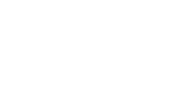 NTTS_w Kopie